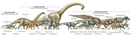 Mesozoic Era - P1PaigeH-GTS